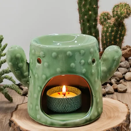 Quemador Cactus "Cactus Gruñón"